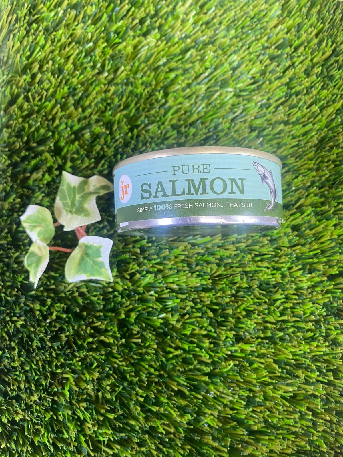Pure salmon for dogs