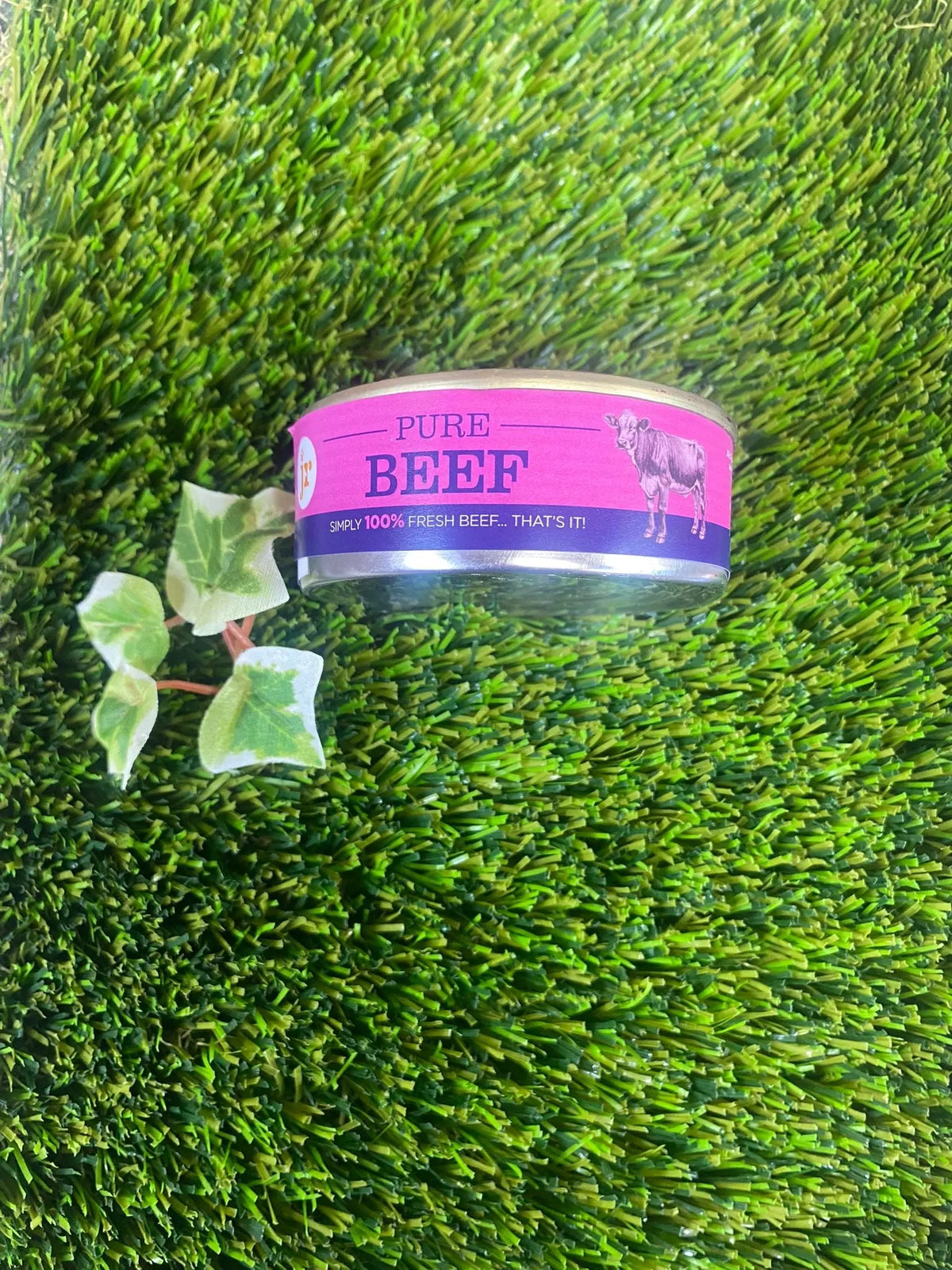 Pure beef for dogs