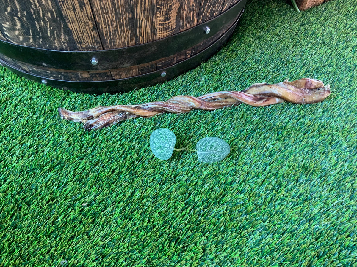 Jumbo Twisted Pizzle UTA Kennels