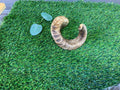 Lamb Horn UTA Kennels