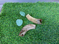 Lamb Horn (Cut) UTA Kennels