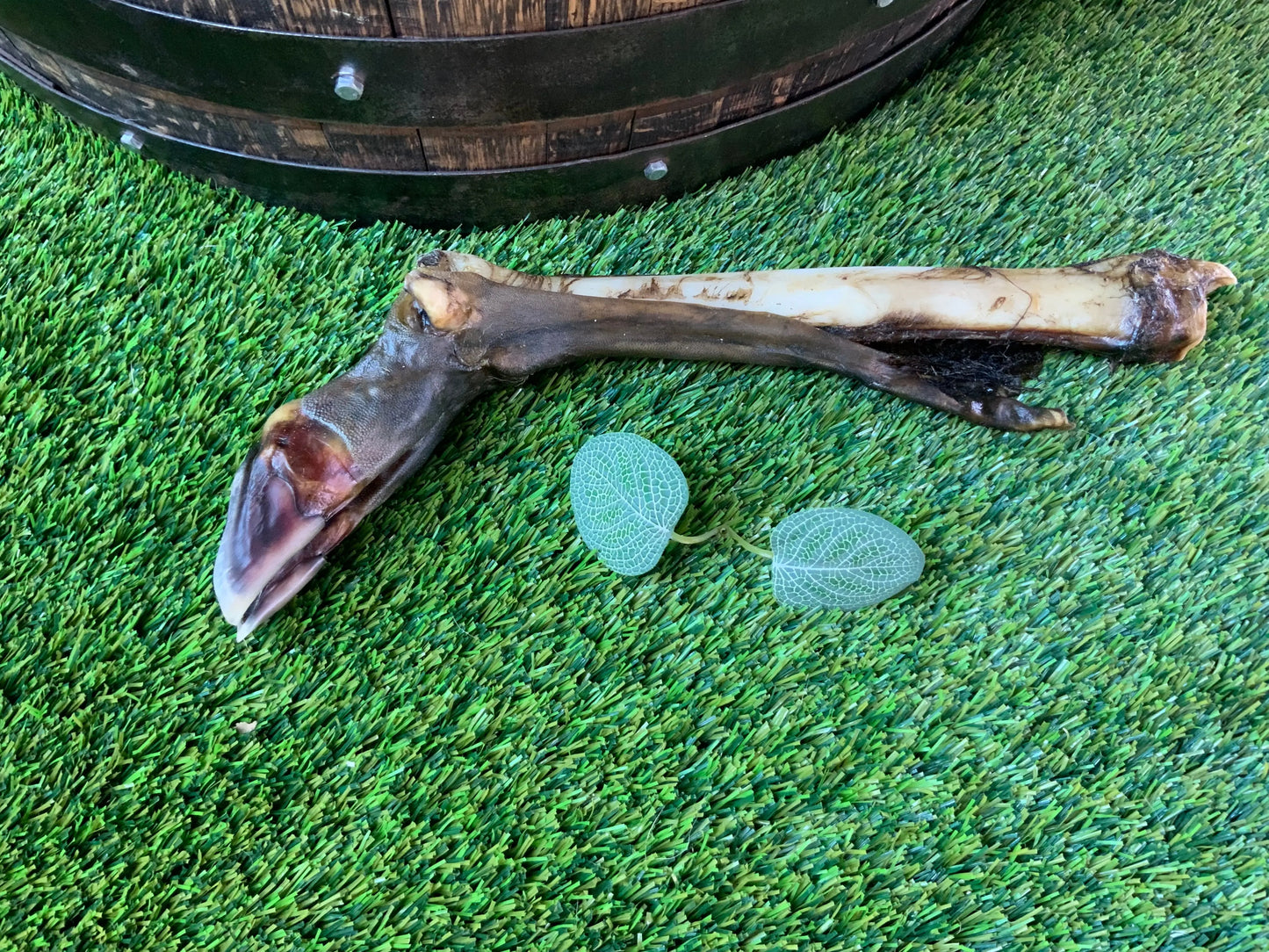 Large Deer Leg UTA Kennels