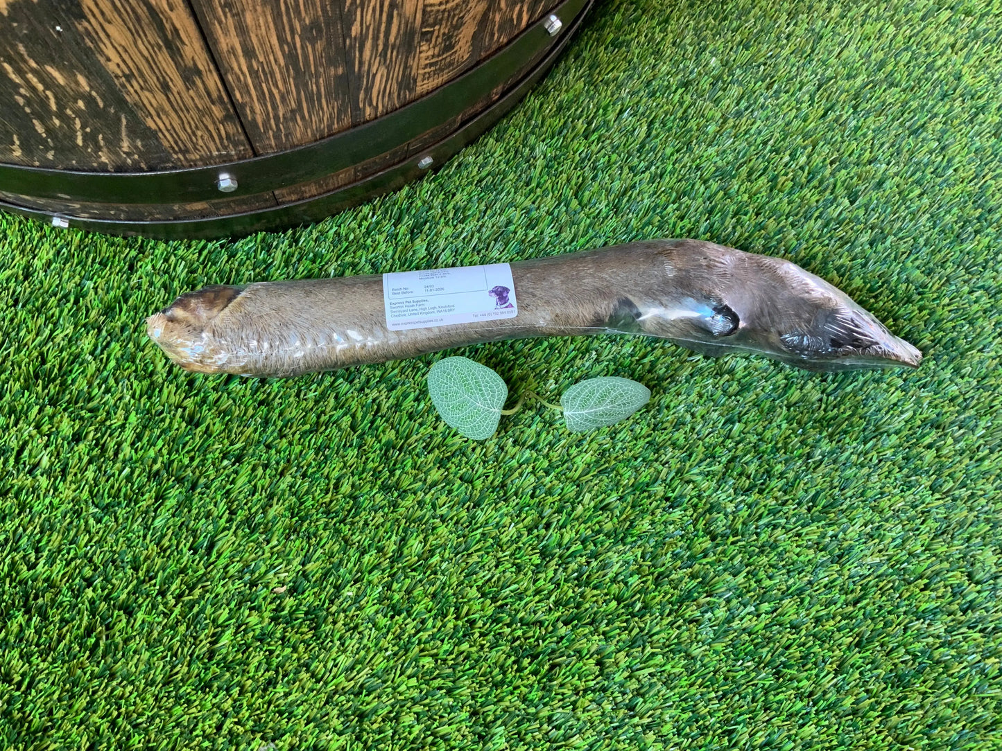 Large Deer Leg with Fur UTA Kennels