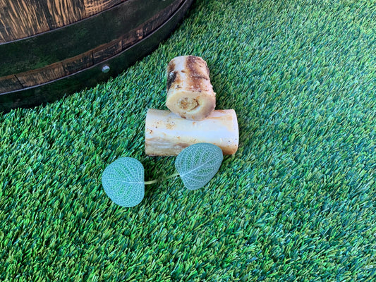 Marrow Bone UTA Kennels