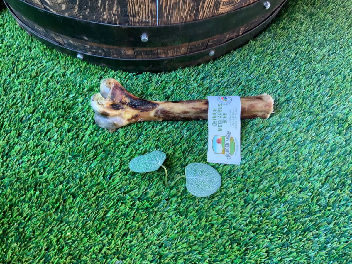 Ostrich Metatarsus Bone UTA Kennels