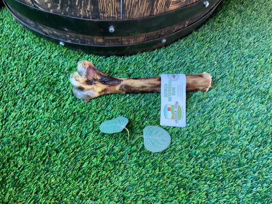 Ostrich Metatarsus Bone UTA Kennels