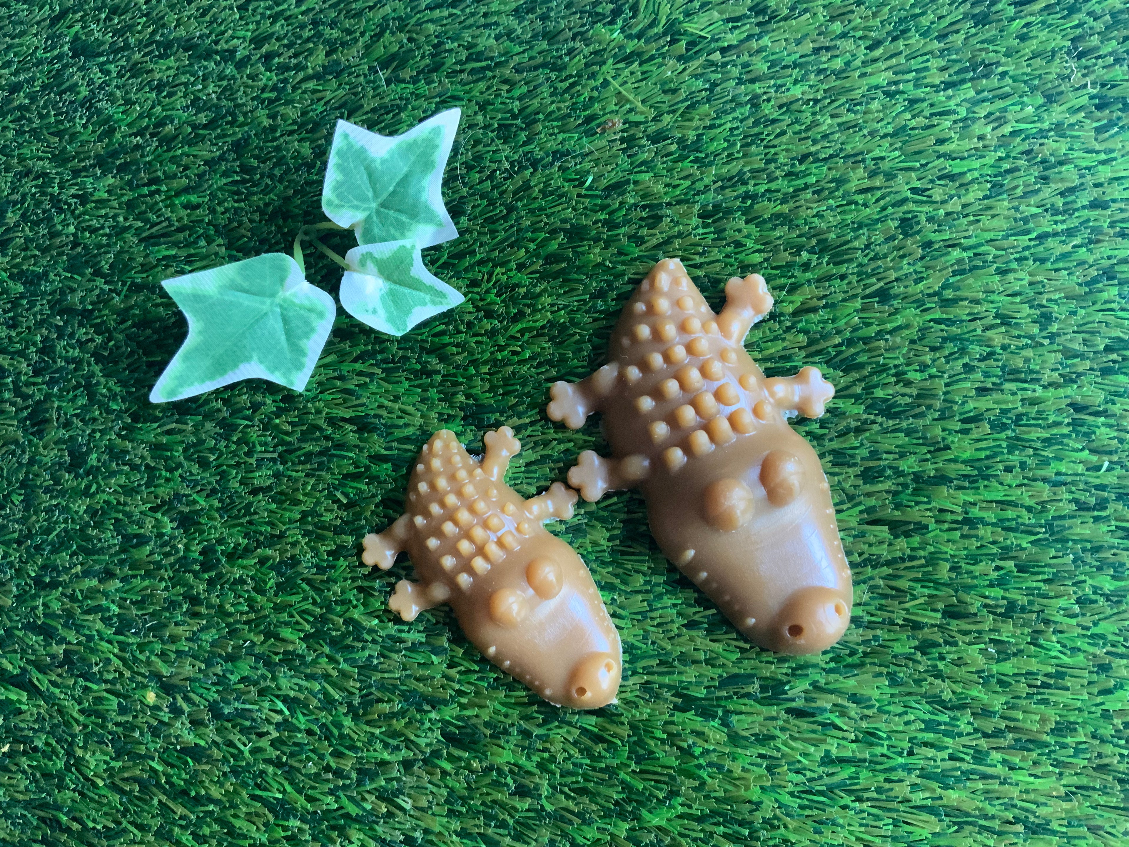 Peanut Butter Crocs UTA Kennels