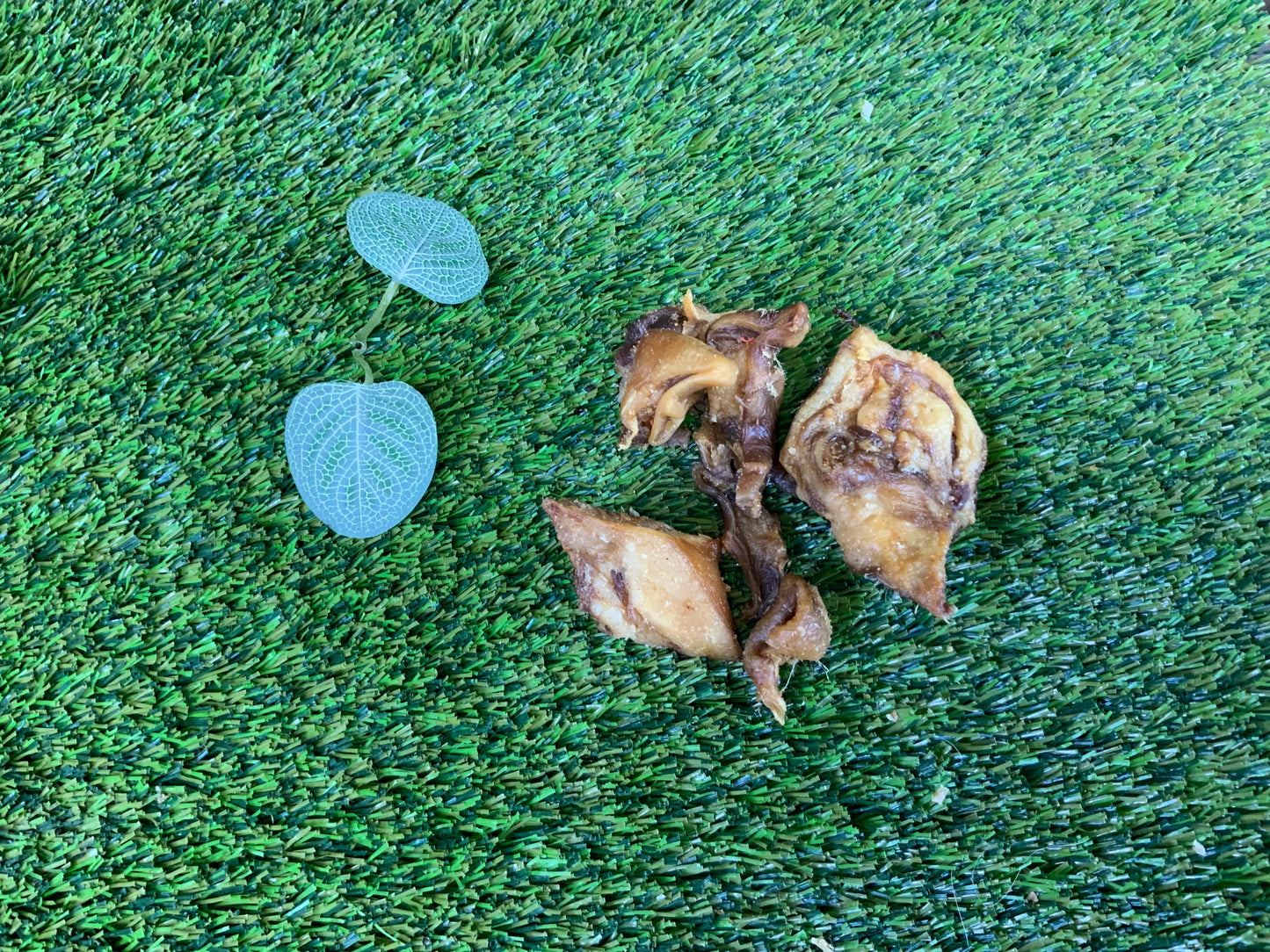 Pig Ear Strips UTA Kennels