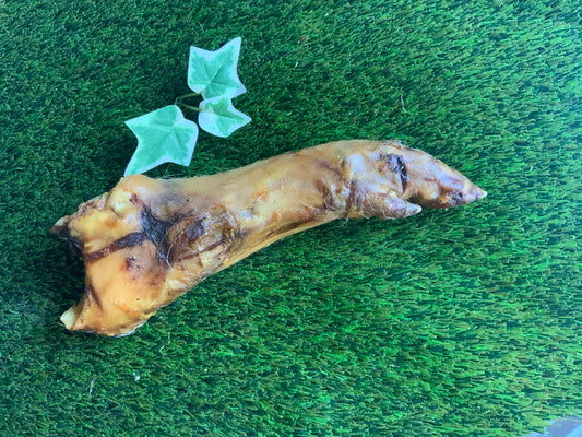 Pigs Foot UTA Kennels