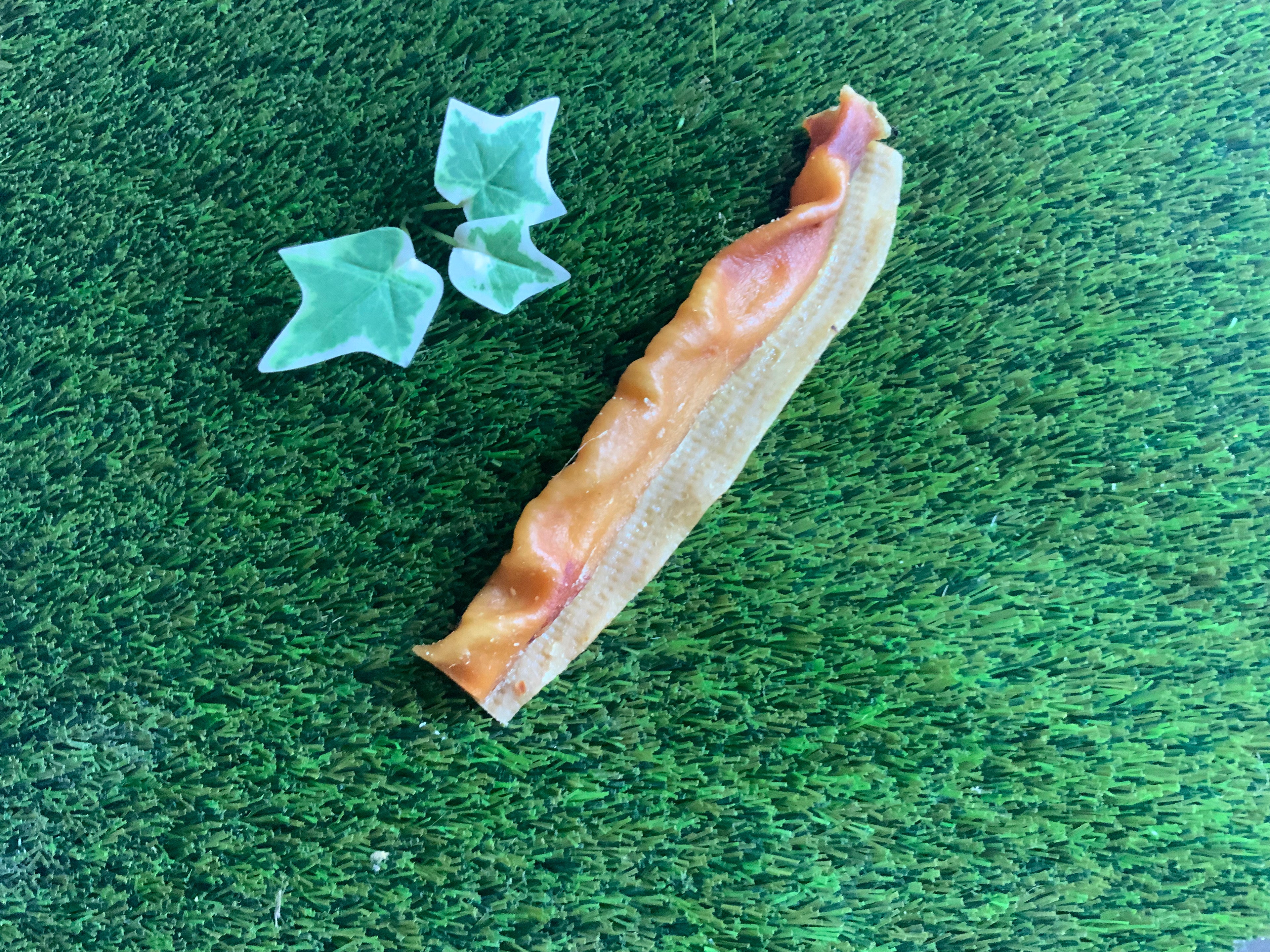 Pork Rind Bar UTA Kennels
