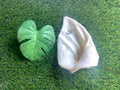 Puffed Pigs Ear UTA Kennels