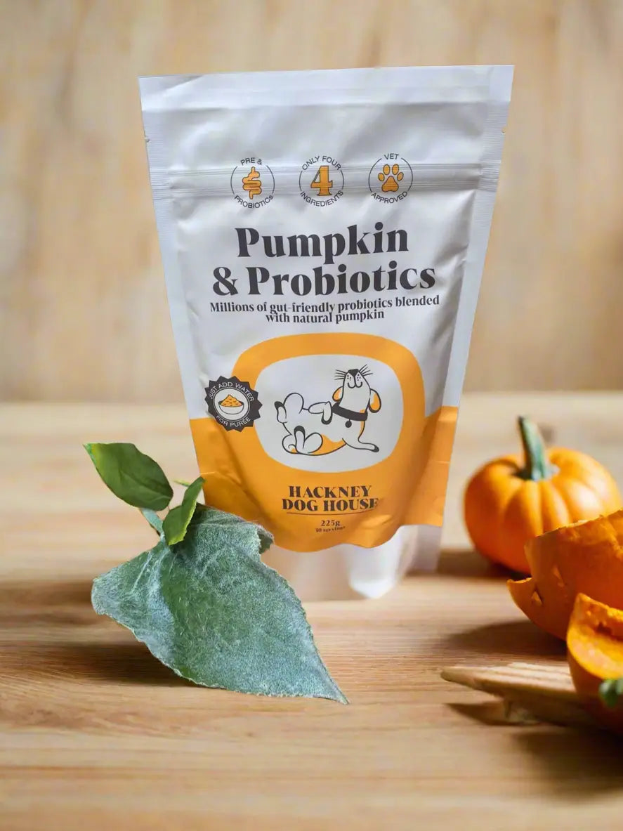 Pumpkin & Probiotics UTA Kennels