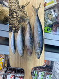 Sprats 1kg UTA K9