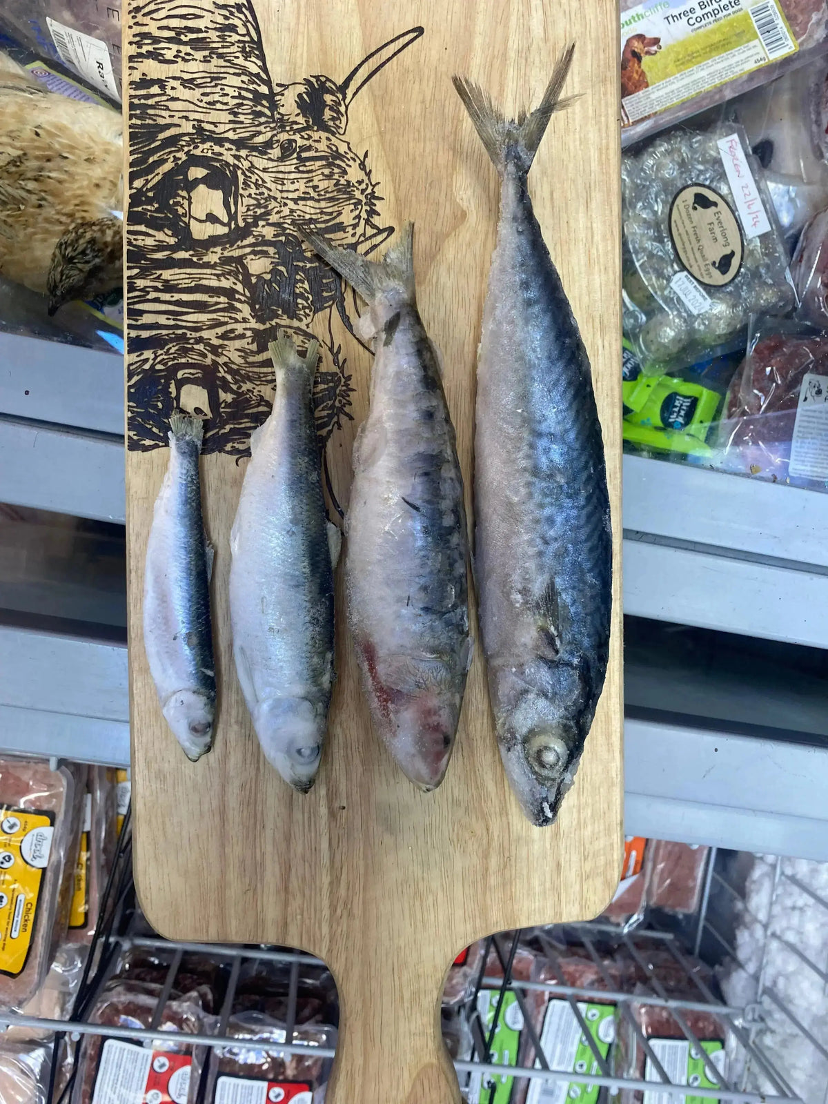 Sprats 1kg UTA K9