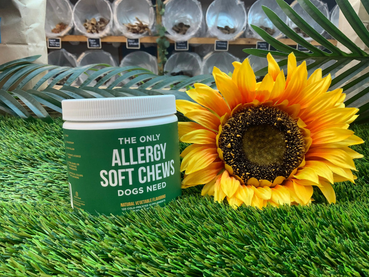 The only allergy soft chew dogs need UTA K9