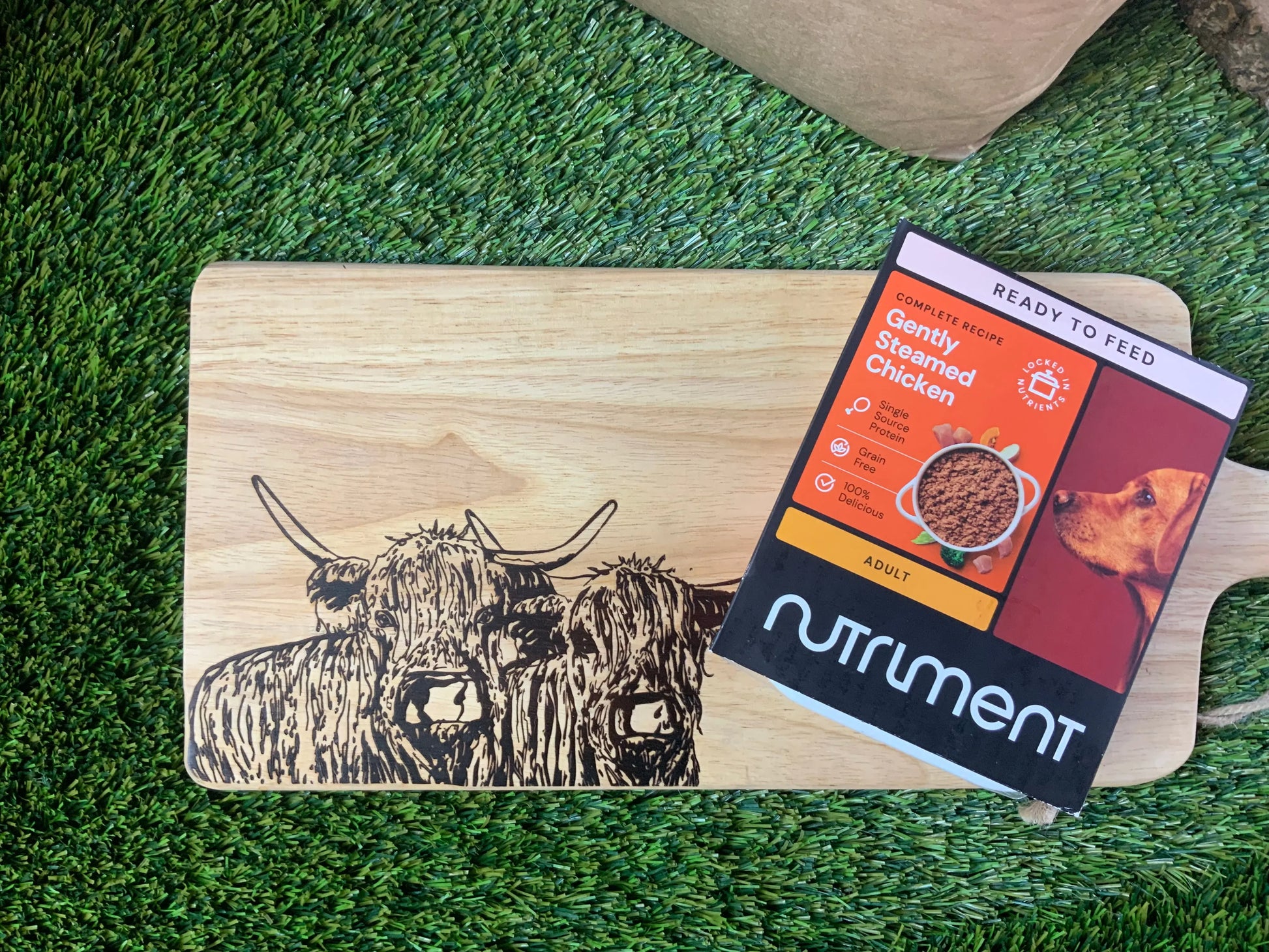 Untitled Nov26_15:36 UTA K9