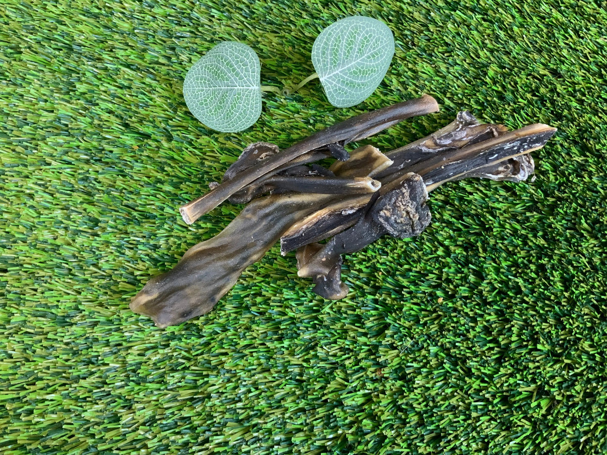 Venison Skin UTA Kennels