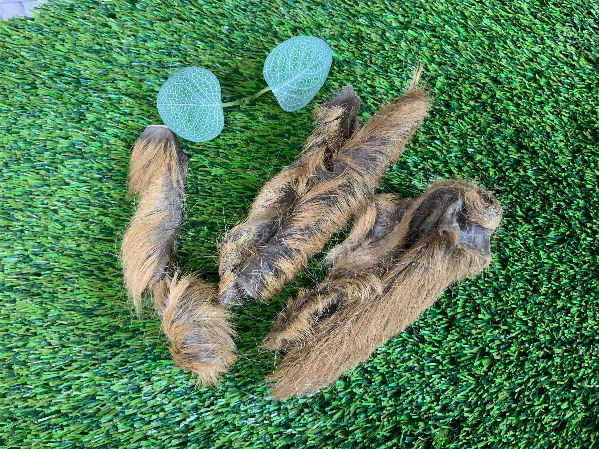 Venison Skin with Fur UTA Kennels