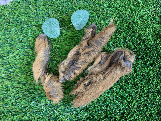 Venison Skin with Fur UTA Kennels