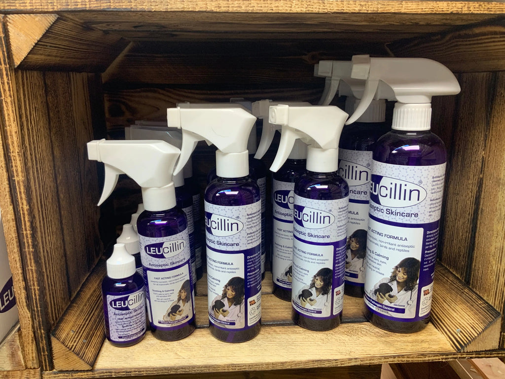 leucillin antiseptic spray UTA K9